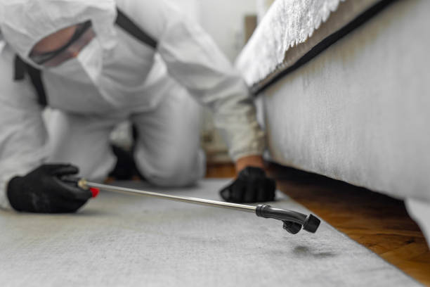 Professional Termite Control technician working in Inkerman, PA