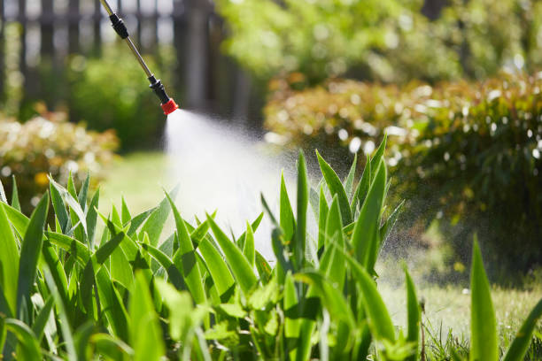 24/7 Emergency Termite Control experts in Inkerman, PA