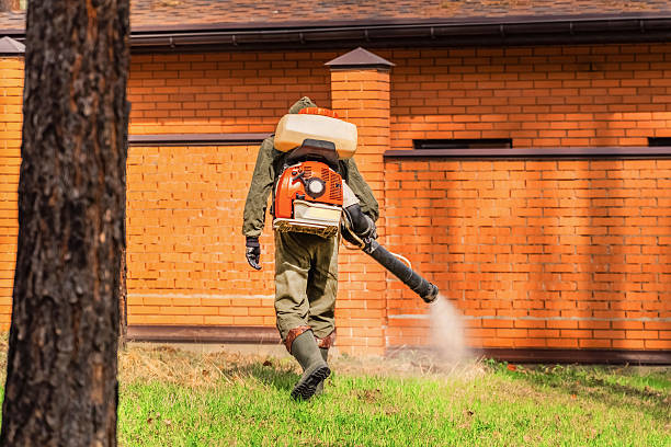 Top rated local Termite Control specialists in Inkerman, PA